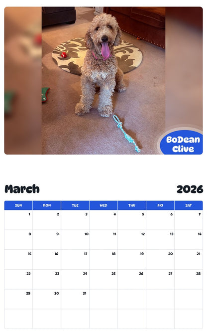 November 2025 - October 2026 BoDean Clive - Pawidols Pet Calendar