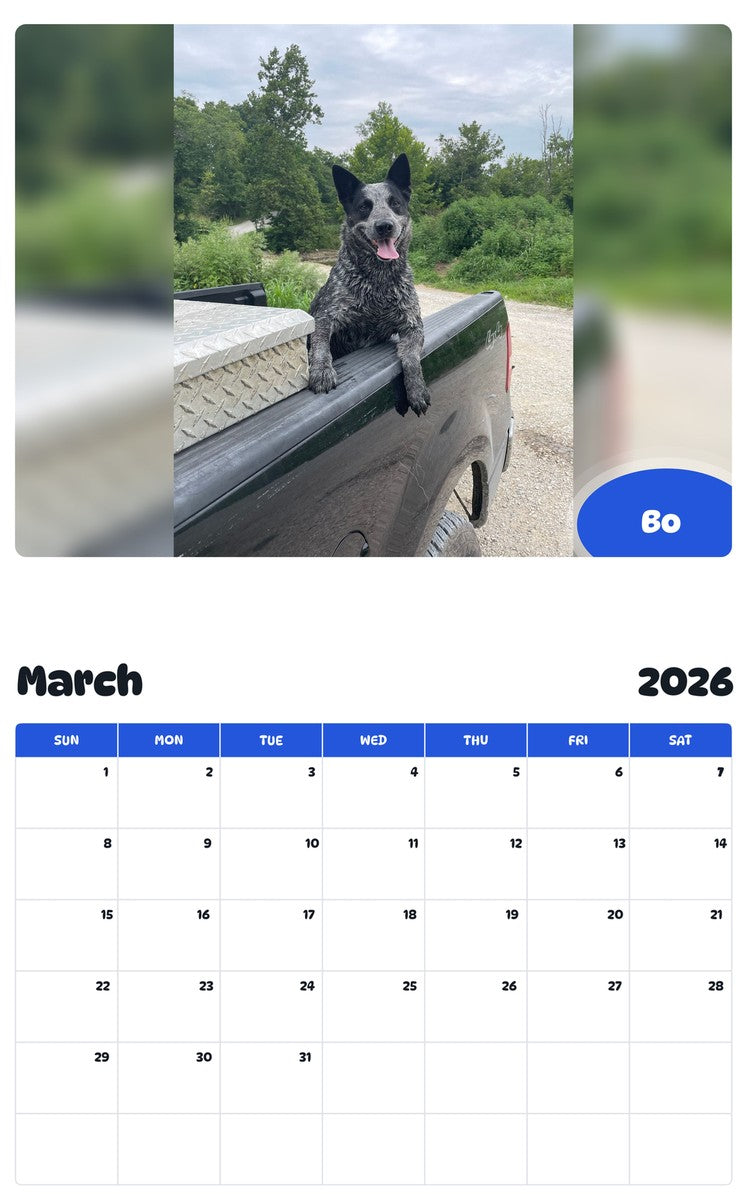 November 2025 - October 2026 Bo - Pawidols Pet Calendar