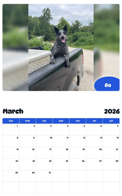 November 2025 - October 2026 Bo - Pawidols Pet Calendar