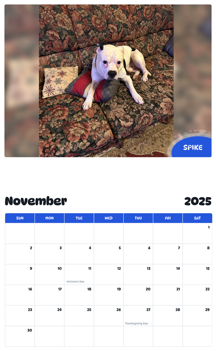 July 2025 - June 2026 Spike - Pawidols Pet Calendar
