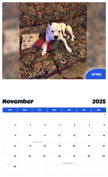 July 2025 - June 2026 Spike - Pawidols Pet Calendar