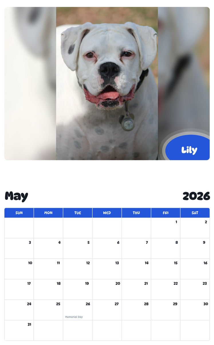 2026 - 2027 Lily - Pawidols Pet Calendar