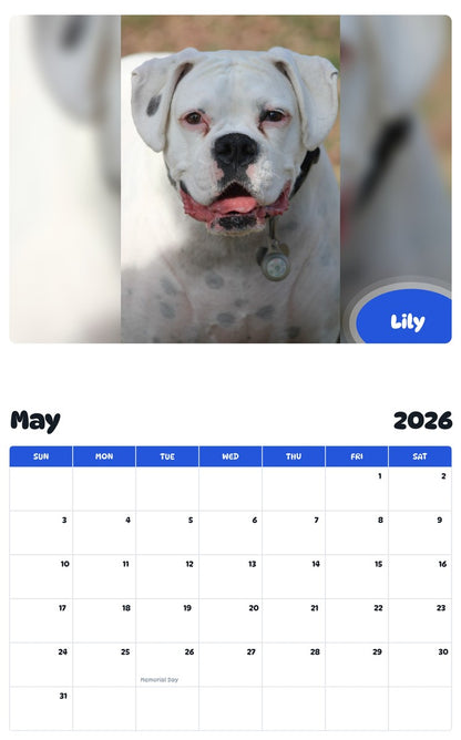 2026 - 2027 Lily - Pawidols Pet Calendar