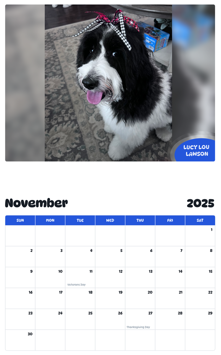 July 2025 - June 2026 Lucy Lou Lawson - Pawidols Pet Calendar