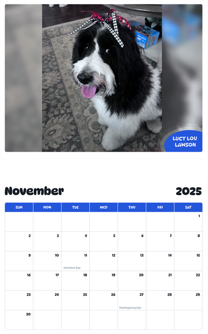 July 2025 - June 2026 Lucy Lou Lawson - Pawidols Pet Calendar