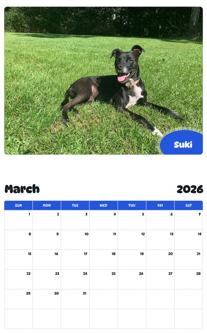 November 2025 - October 2026 Suki - Pawidols Pet Calendar
