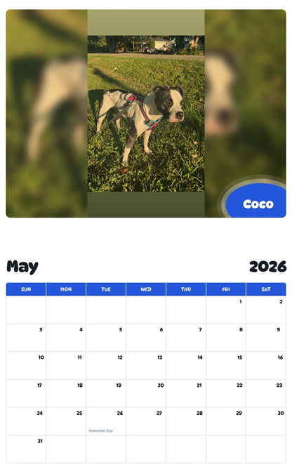 2026 - 2027 Coco - Pawidols Pet Calendar