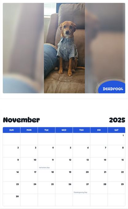 July 2025 - June 2026 Deadpool - Pawidols Pet Calendar