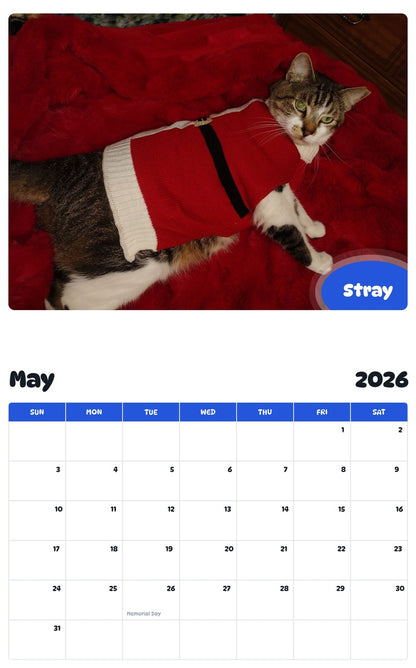 2026 - 2027 Stray - Pawidols Pet Calendar