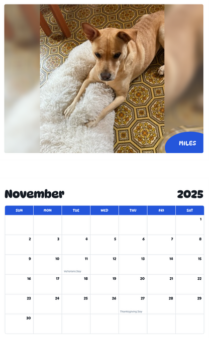 July 2025 - June 2026 Miles - Pawidols Pet Calendar