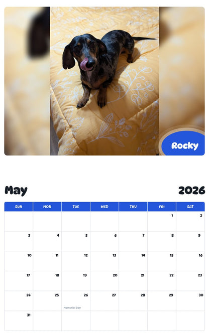 2026 - 2027 Rocky - Pawidols Pet Calendar