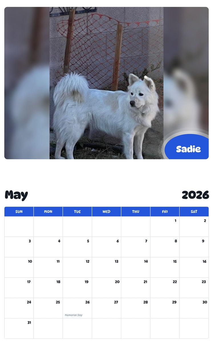 2026 - 2027 Sadie - Pawidols Pet Calendar