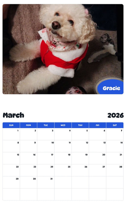 November 2025 - October 2026 Gracie - Pawidols Pet Calendar