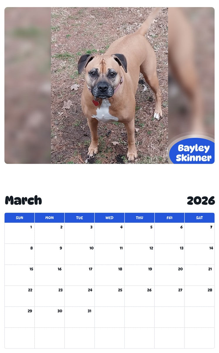 November 2025 - October 2026 Bayley Skinner - Pawidols Pet Calendar