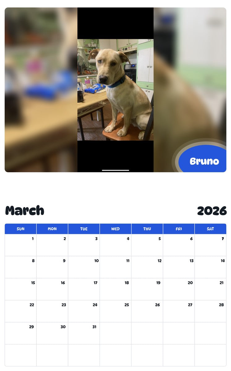 November 2025 - October 2026 Bruno - Pawidols Pet Calendar