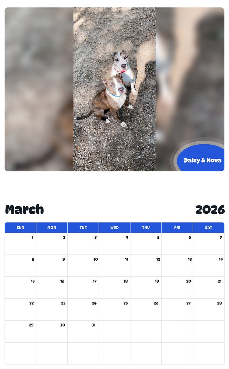 November 2025 - October 2026 Daisy & Nova - Pawidols Pet Calendar