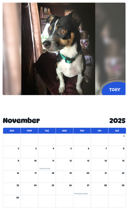 July 2025 - June 2026 Toby - Pawidols Pet Calendar