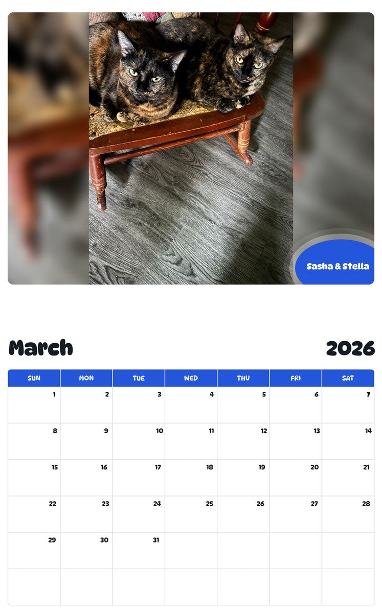 November 2025 - October 2026 Sasha & Stella - Pawidols Pet Calendar