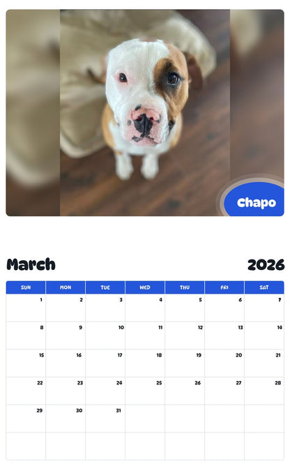 November 2025 - October 2026 Chapo - Pawidols Pet Calendar