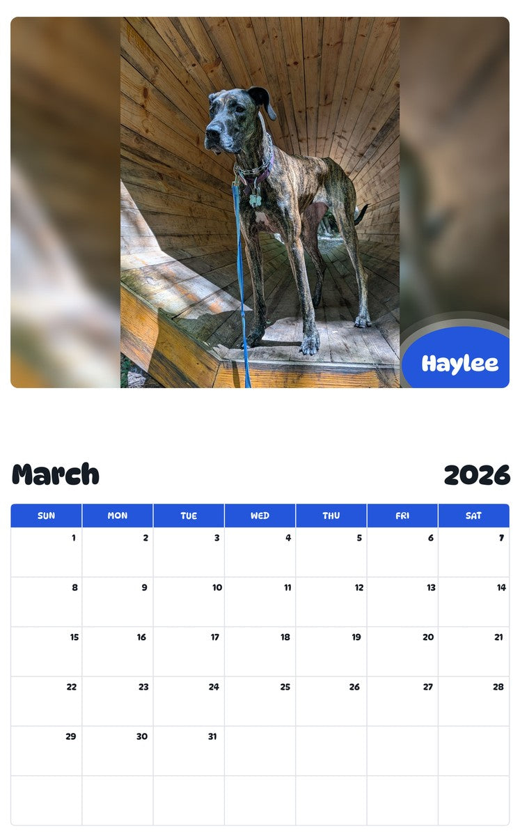 November 2025 - October 2026 Haylee - Pawidols Pet Calendar