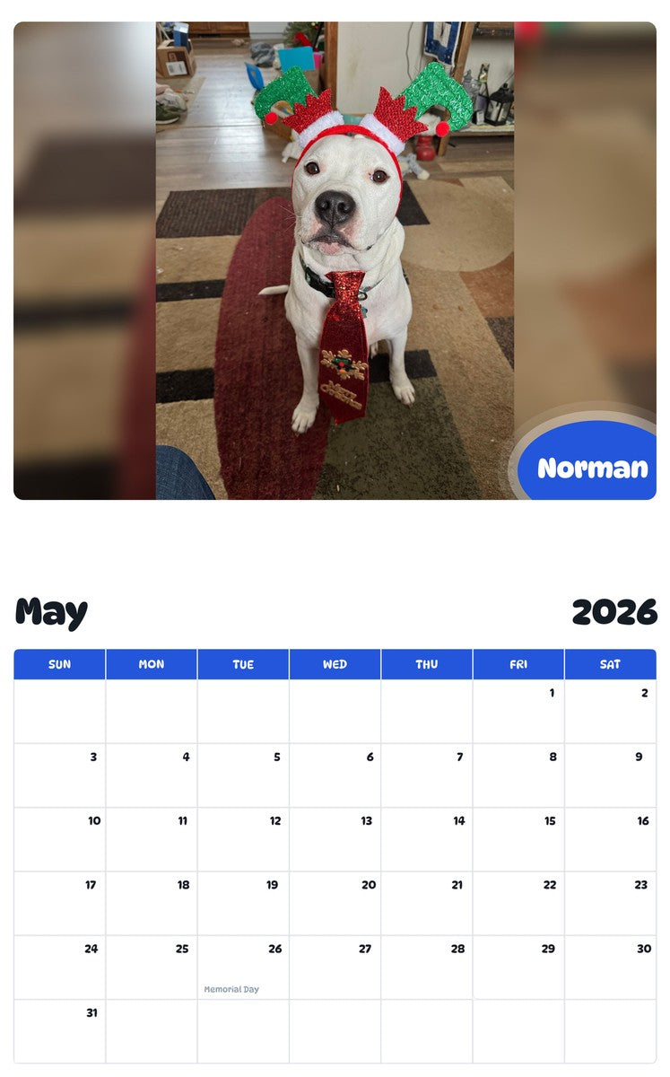 2026 - 2027 Norman - Pawidols Pet Calendar