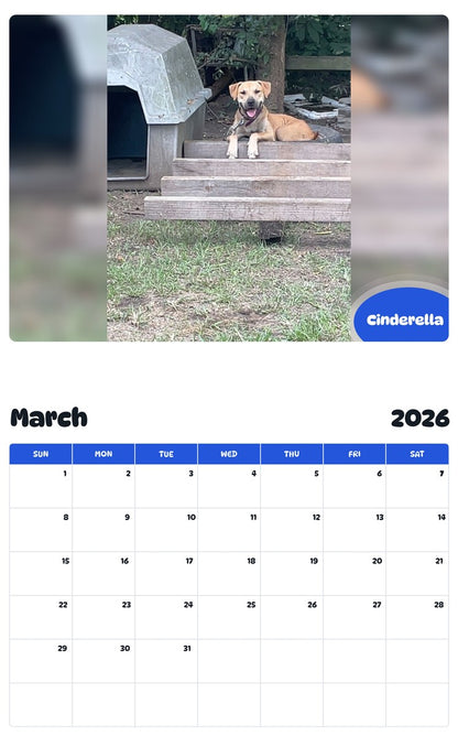 November 2025 - October 2026 Cinderella - Pawidols Pet Calendar