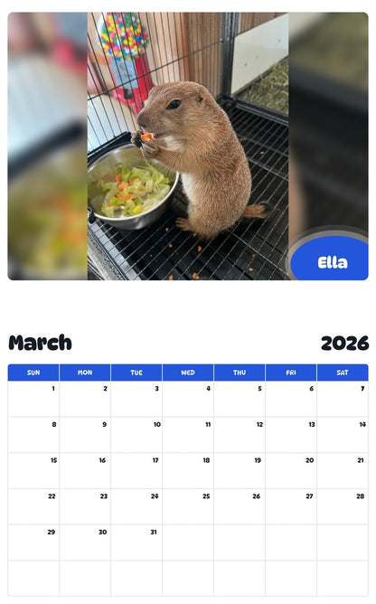 November 2025 - October 2026 Ella - Pawidols Pet Calendar