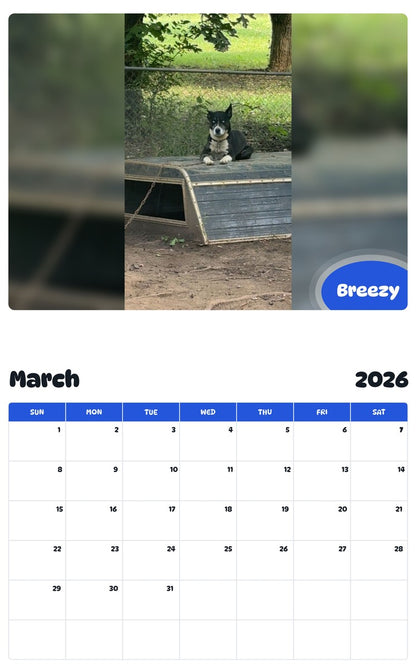 November 2025 - October 2026 Breezy - Pawidols Pet Calendar