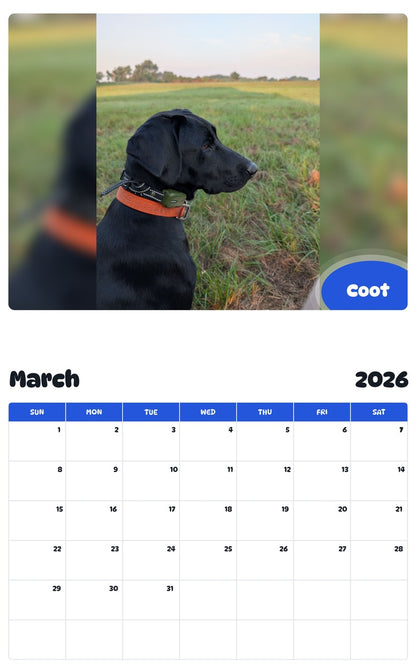 November 2025 - October 2026 Coot - Pawidols Pet Calendar