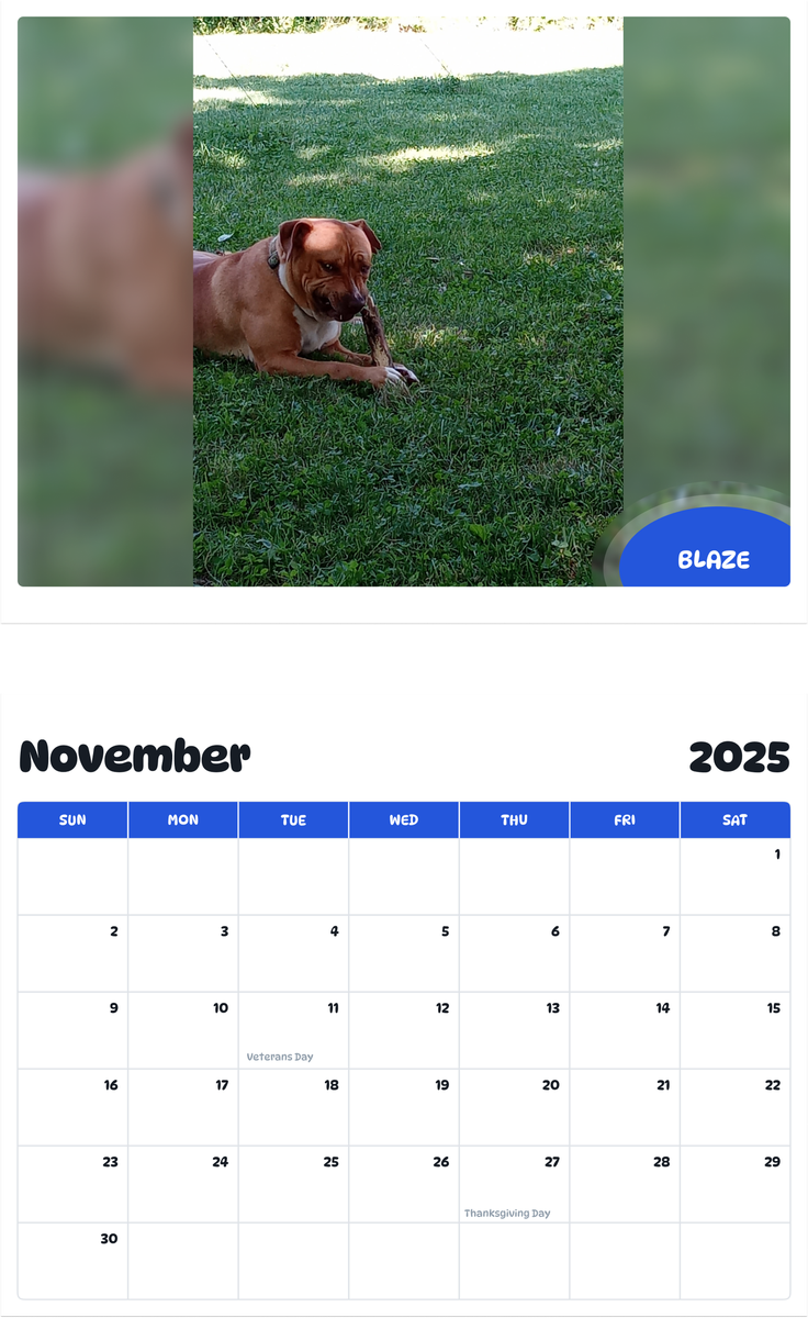 July 2025 - June 2026 Blaze - Pawidols Pet Calendar