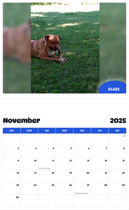 July 2025 - June 2026 Blaze - Pawidols Pet Calendar