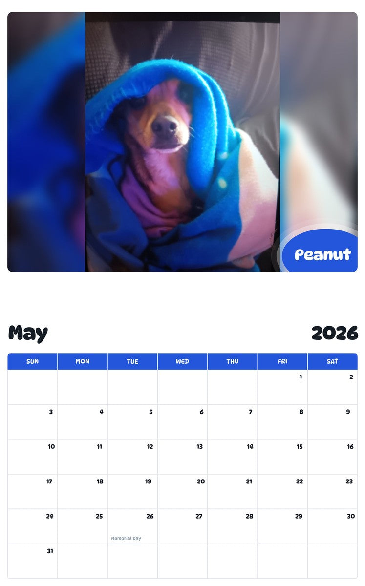 2026 - 2027 Peanut - Pawidols Pet Calendar
