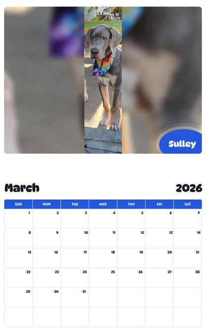 November 2025 - October 2026 Sulley - Pawidols Pet Calendar