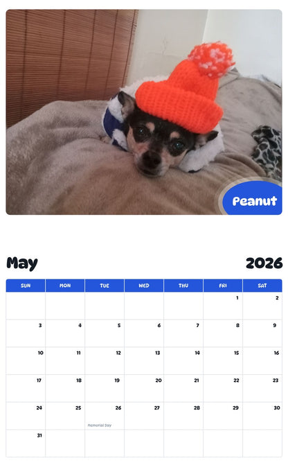 2026 - 2027 Peanut - Pawidols Pet Calendar