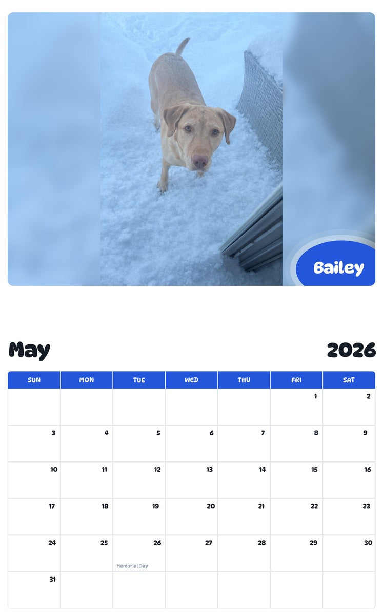 2026 - 2027 Bailey - Pawidols Pet Calendar