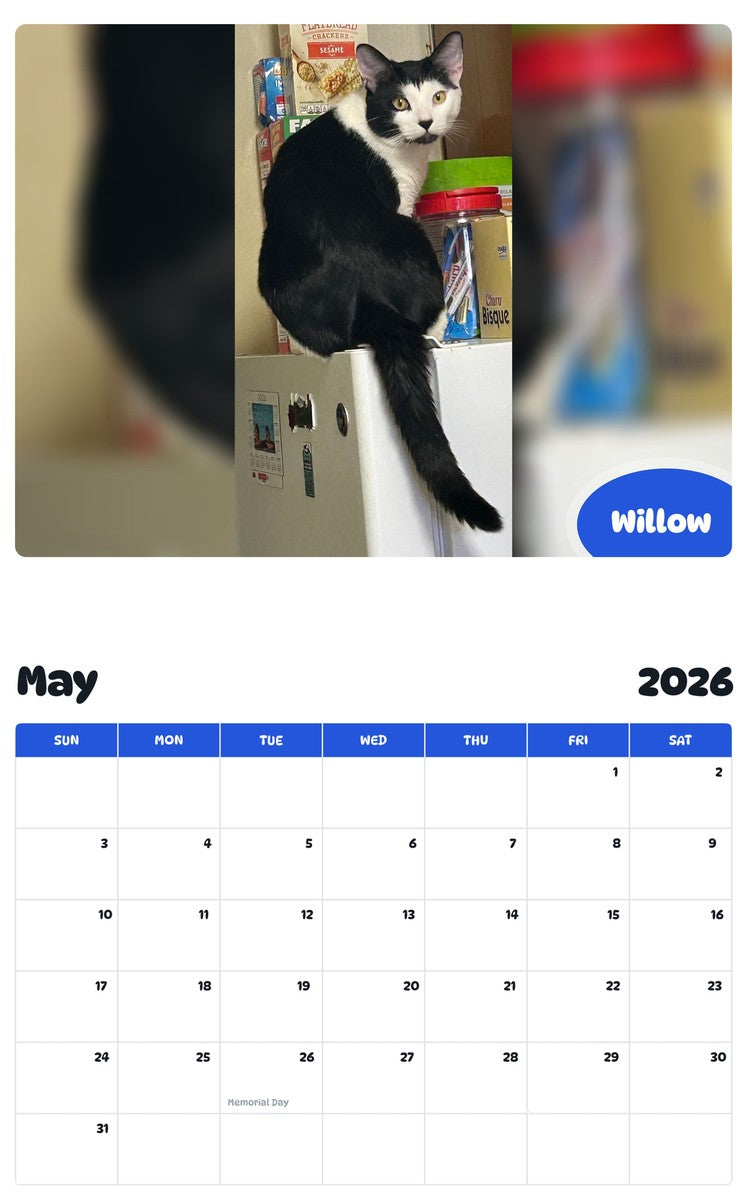 2026 - 2027 Willow - Pawidols Pet Calendar