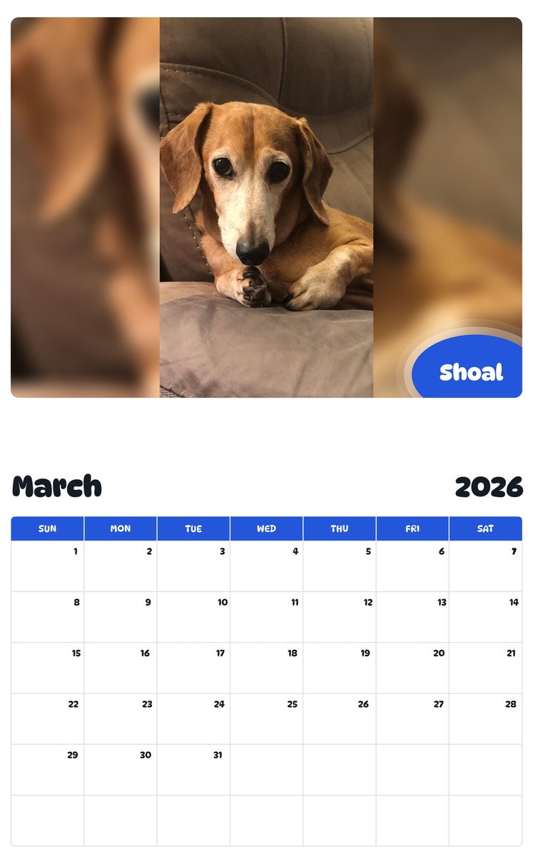 November 2025 - October 2026 Shoal - Pawidols Pet Calendar