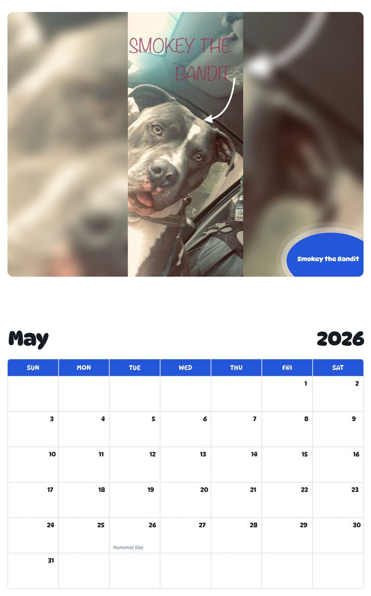 2026 - 2027 Smokey the Bandit - Pawidols Pet Calendar