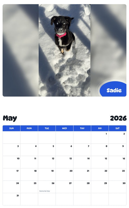 2026 - 2027 Sadie - Pawidols Pet Calendar