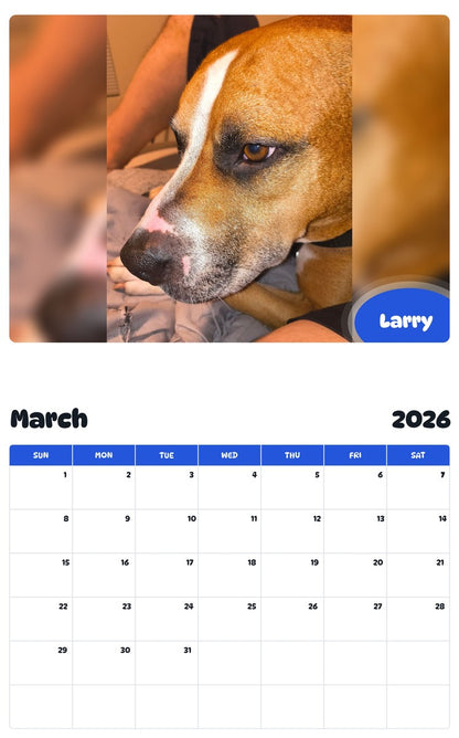 November 2025 - October 2026 Larry - Pawidols Pet Calendar
