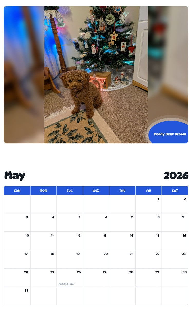 2026 - 2027 Teddy Bear Brown - Pawidols Pet Calendar