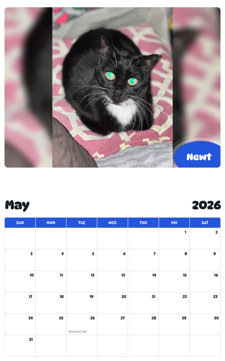 2026 - 2027 Newt - Pawidols Pet Calendar