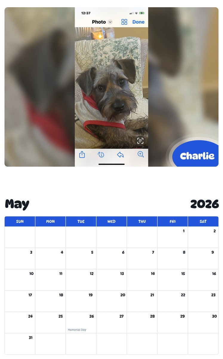 2026 - 2027 Charlie - Pawidols Pet Calendar