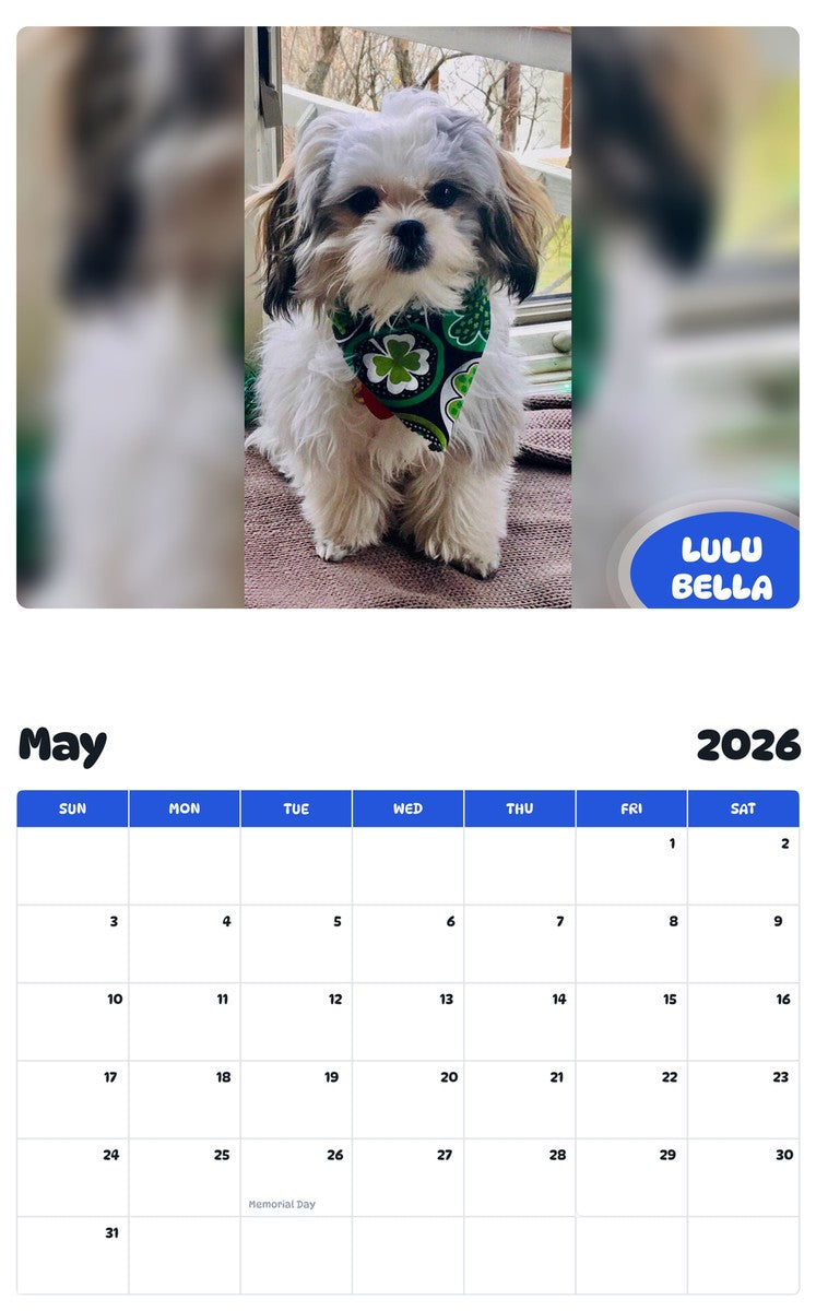 2026 - 2027 LULU BELLA - Pawidols Pet Calendar
