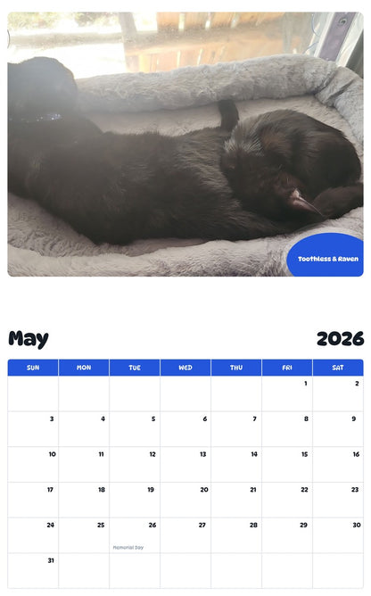 2026 - 2027 Toothless & Raven - Pawidols Pet Calendar