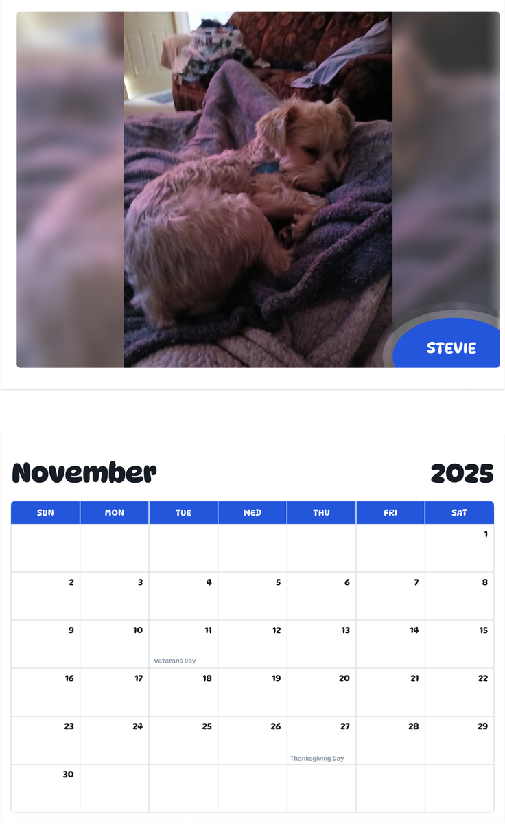 July 2025 - June 2026 Stevie - Pawidols Pet Calendar
