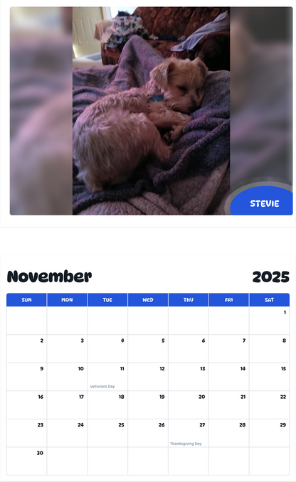 July 2025 - June 2026 Stevie - Pawidols Pet Calendar