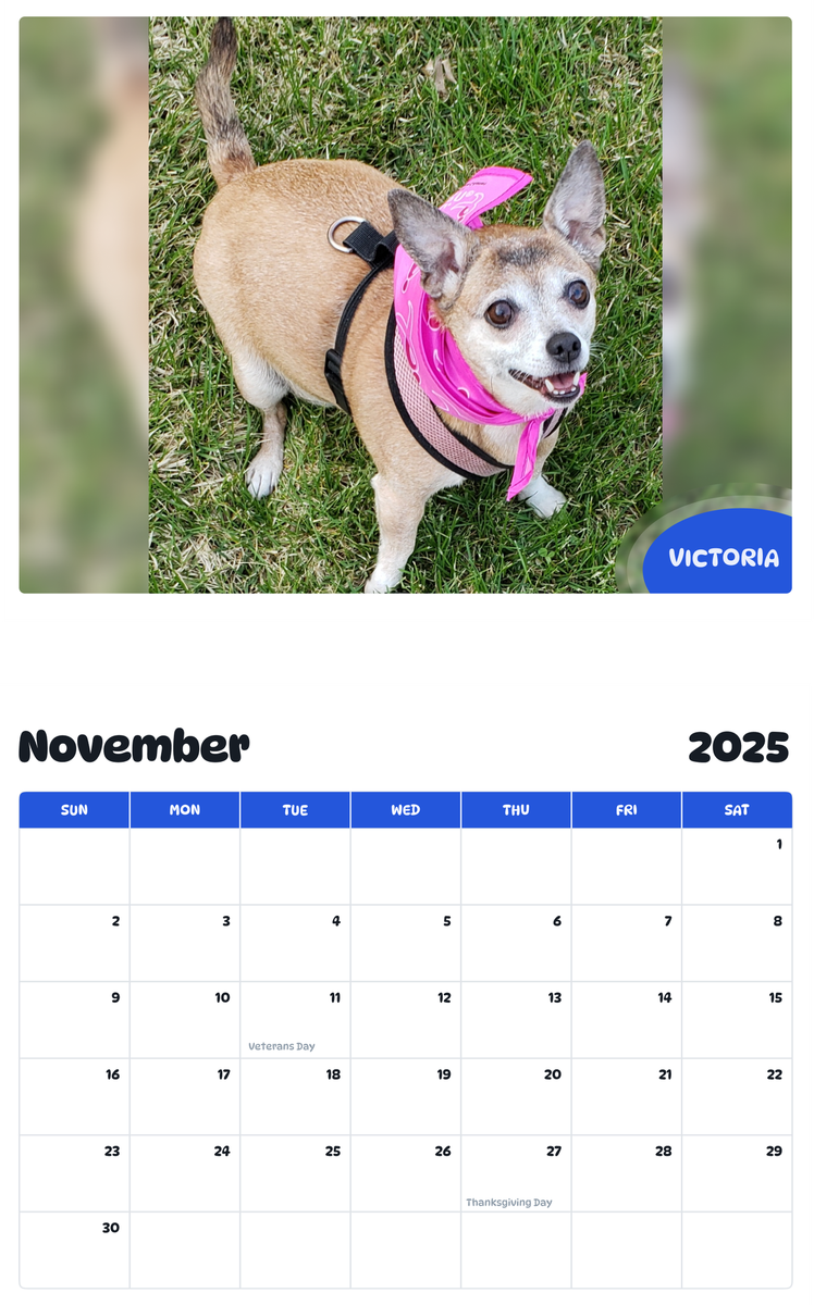 July 2025 - June 2026 Victoria - Pawidols Pet Calendar