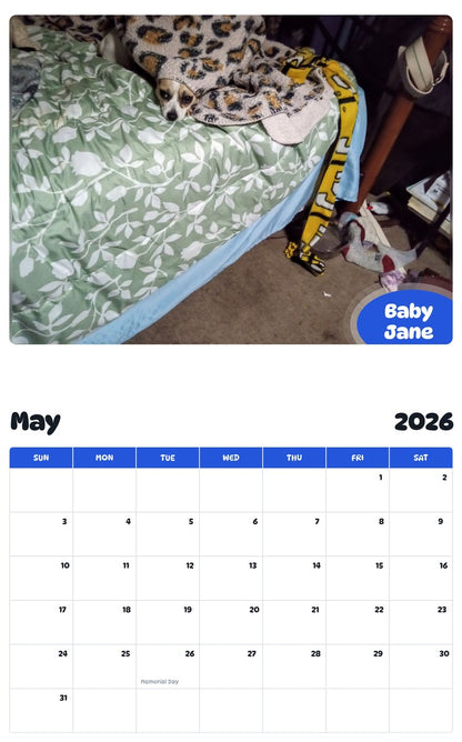2026 - 2027 Baby Jane - Pawidols Pet Calendar