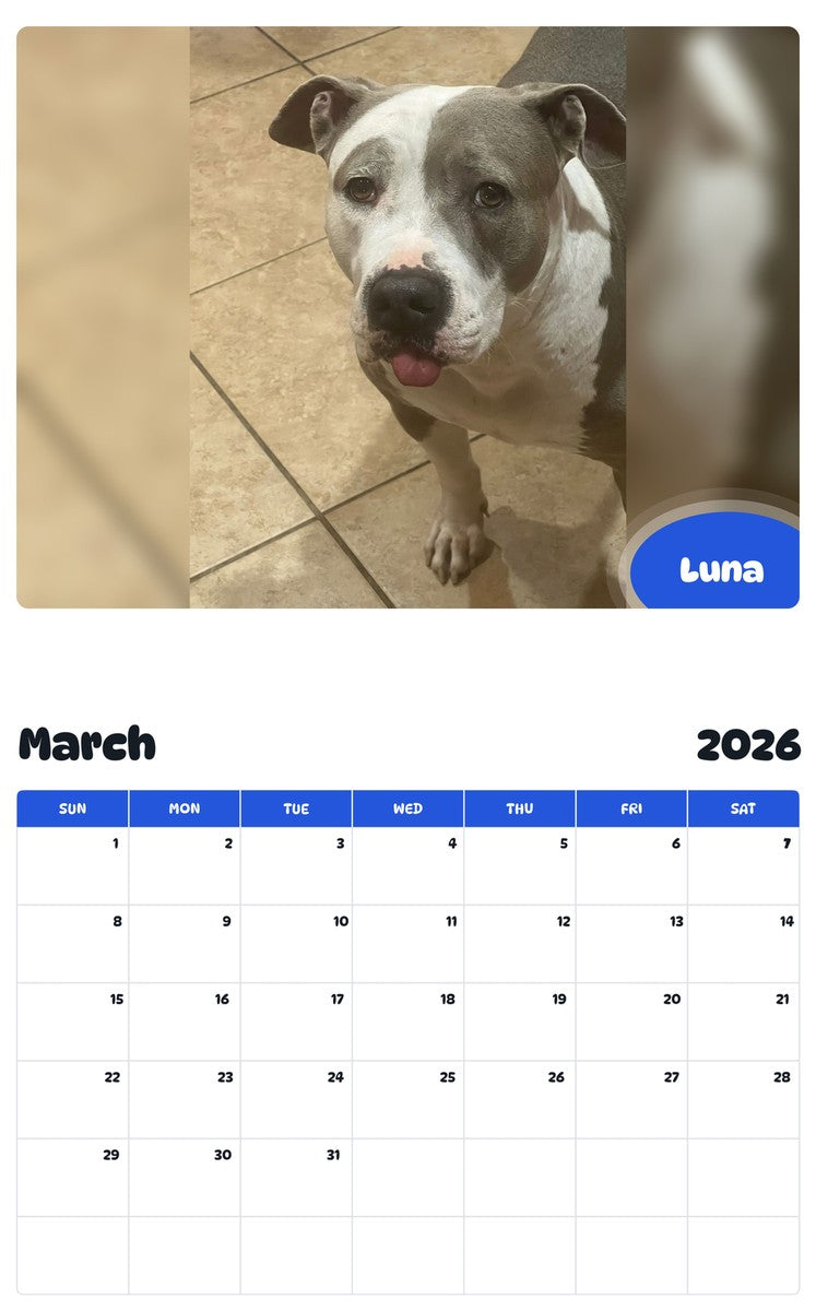 November 2025 - October 2026 Luna - Pawidols Pet Calendar